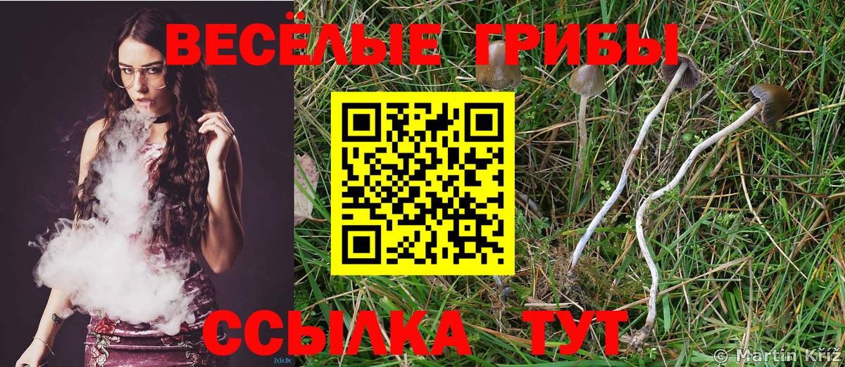 Псилоцибиновые грибы GOLDEN TEACHER Алексин