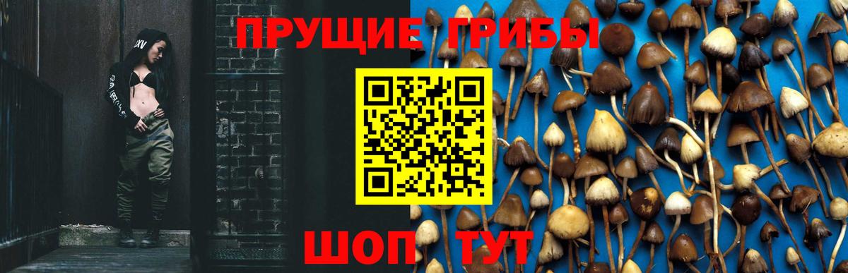 Алексин  Галлюциногенные грибы мухоморы  Вход с VPN 